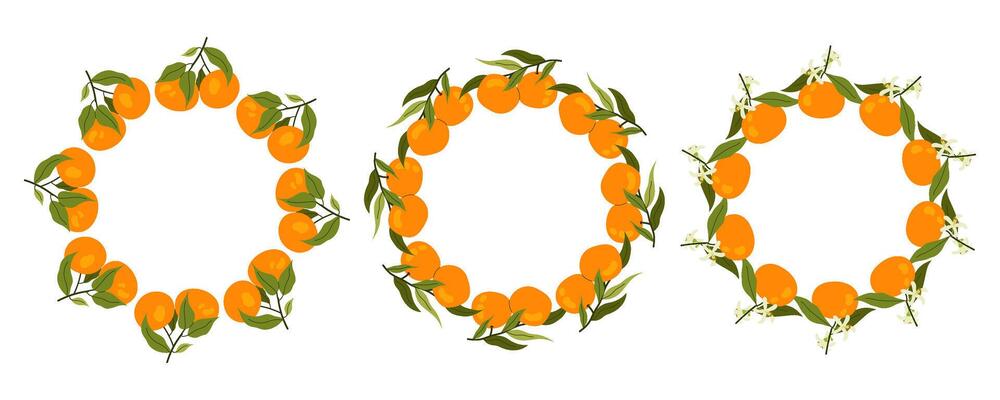 Tropical fruit circle border. Set of tangerine frames. Space for text. For card, invitation, wedding, birthday and other holiday.