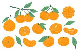 Tangerine with leaf, flat illustrations set, abstract fruit art isolated on white background vector