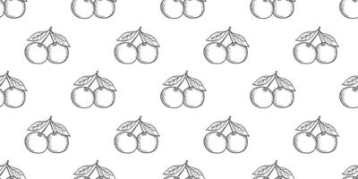 Seamless pattern with hand drawn sketch of tangerine or orange fruit. Engraved style. vector