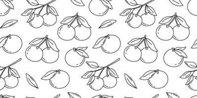 Seamless pattern with hand drawn sketch of tangerine or orange fruit with leaves. isolated illustrations on white. Engraved style. vector