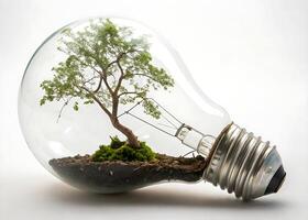 bulb. Symbolic image of environmental awareness and green energy - a small tree growing inside photo