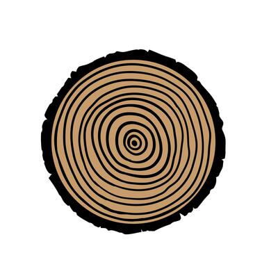 Wooden cross section isolated on white background. Tree rings. illustration.
