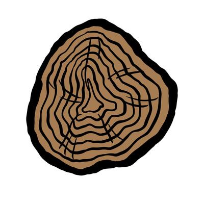 Tree rings on white background. illustration. Wood texture for your design.
