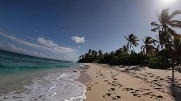A beach with palm trees and sand photo