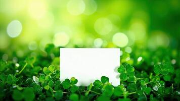 A blank card in the green grass with a copy space for your text photo