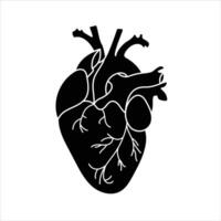 Detailed black icon of anatomical human heart shape vector
