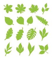 Collection of tree leaves in natural style icon format vector