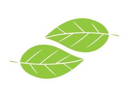 Design of two green leaves in nature vector
