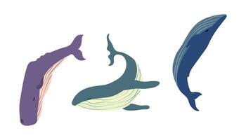 Illustration of Three Whales. The simple design highlights the unique silhouette and features of each whale. vector