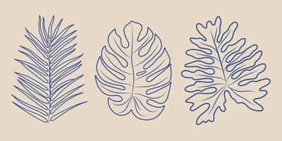 Minimalist illustration featuring three distinct plant line drawings on a beige background. Includes palm, monstera, and oak leaf designs, capturing elegance and simplicity. vector