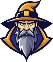 The wizard with a long beard and hat vector