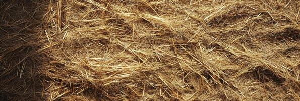 Close-up texture of dried straw highlighting natural patterns and organic material photo