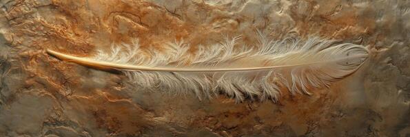 Elegant single feather on rustic textured background evoking serenity and simplicity photo