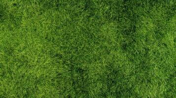 Lush green grass background with vibrant texture for nature-themed designs photo