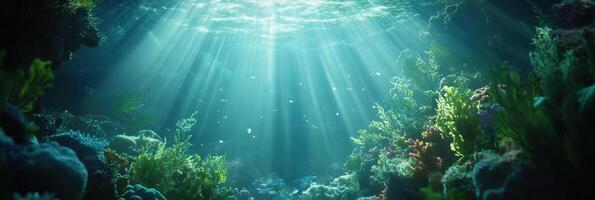 Sunlight streaming through ocean water illuminating vibrant coral reef ecosystem photo