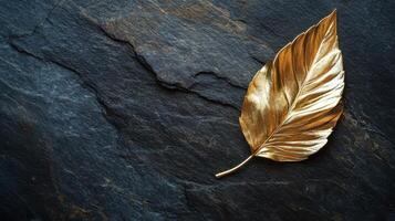Golden leaf on dark slate surface highlighting natural elegance and contrast photo