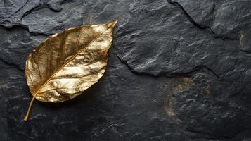Golden leaf on dark slate surface symbolizing elegance and nature concept photo
