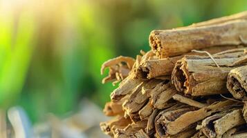 Cinnamon Sticks In Sunlight With Blurred Green Background. Aromatic Spice For Culinary And Health Uses photo