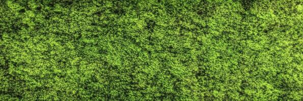 Lush green moss background concept for natural and fresh textures photo