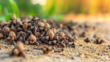 Cloves On Sandy Surface With Blurred Green Background. Aromatic Spice Used In Cooking And Traditional Medicine photo