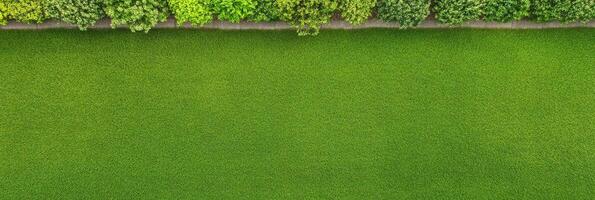 Lush green grass lawn with vibrant bushes in a perfectly maintained garden photo