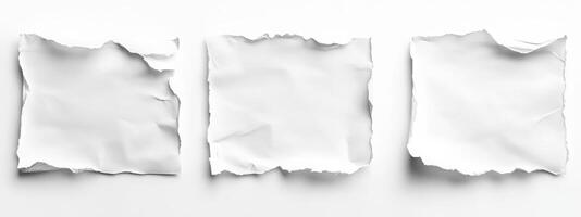 white paper torn pieces, each piece is isolated on its own with the ragged edges. photo