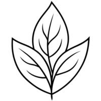 A leaf outline on a white background vector