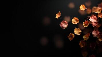 Falling leaves on black background photo