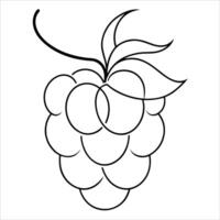 Continuous line drawing of raspberry fruit suitable for organic produce illustrations health food branding and minimalist botanical themed creative visuals vector