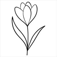 Spring crocus flower illustration in elegant continuous line art style perfect for botanical themed wall art nature prints floral decor and minimalist graphic design projects vector