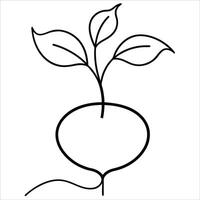 Botanical beetroot sketch in continuous line art drawing style showing detailed root form with minimal strokes excellent for vegetarian cuisine or nutrition concepts vector