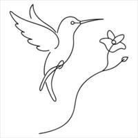 hummingbird feeding from flower captured in continuous line art expressing grace delicacy nature harmony and elegance in a fluid and minimalist bird and floral illustration vector