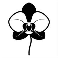 Elegant phalaenopsis orchid flower depicted in flowing continuous one line art style emphasizing natural grace beauty and minimal botanical illustration charm vector