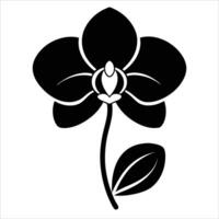 Botanical phalaenopsis orchid flower captured in continuous one line art drawing style illustrating floral sophistication and natural simplicity for elegant designs vector