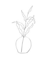 Vase with one branch with leaves, hand drawn outline drawing in boho style, vintage, decor line art, isolated on white background. vector