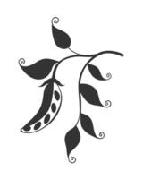 Dark silhouette of Pea pod with fruits and leaves on thin branch, stylized doodle drawing, isolated on white background. vector