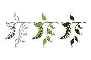 Microgreens. Set of icons green pea branch with pod and leaves, outline drawing, silhouette and color sketch. Design element for vegetarianism, healthy eating, microgreens, green vegetable vector