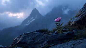 Lone pink flower on rocky mountain with misty peaks at dawn, serene landscape photo