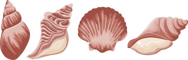 set of various pink icons of seashells, clams, shells and seashells, for various summer or marine designs vector