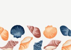 poster with a marine theme, namely with colorful sea shells, shells and mollusks of various shapes on a white background vector
