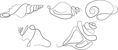 set of icons of various shells, mollusks and shells drawn with several lines in line art style, for various marine designs and company logos vector