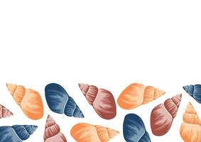 poster with a marine theme, namely with colorful sea shells of various shapes on a white background vector