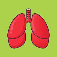 Bright red lungs with trachea are centered against a vibrant light green background vector