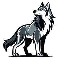Gray wolf stands alertly looking off into the distance with a watchful, powerful pose vector