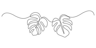 Continuous line drawing of Monstera leaf white background graphic illustration vector
