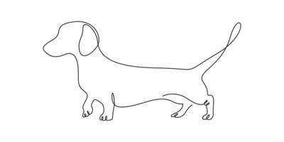 Continuous one line drawing of cute dachshund dog isolated on white background graphic illustration vector