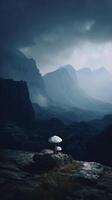Solitary mushrooms on rocky terrain under a dramatic cloudy mountain sky photo