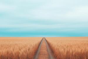 Serene Golden Wheat Field Path Under a Vast Blue Sky photo