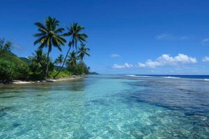 Serene Tropical Beach Paradise Crystal Clear Waters and Lush Palm Trees photo
