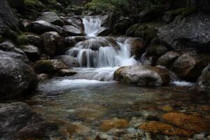 Serene Waterfall Cascading Over Rocks in a Lush Forest Landscape photo